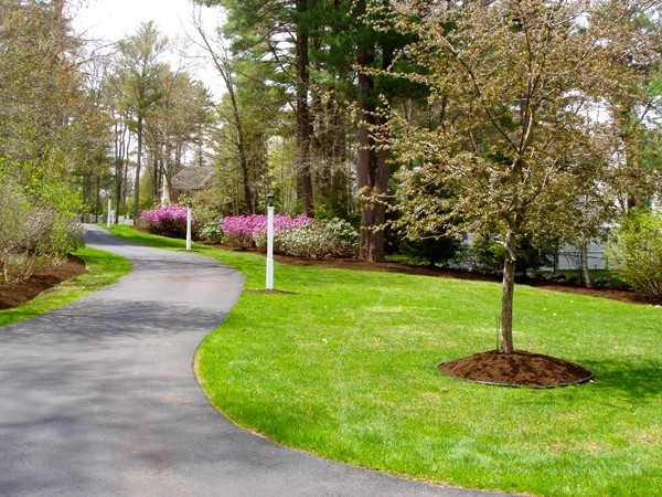 65 Waterman Road Canton, MA 02021 - Photo 2 of 28 Gallery Image 2
