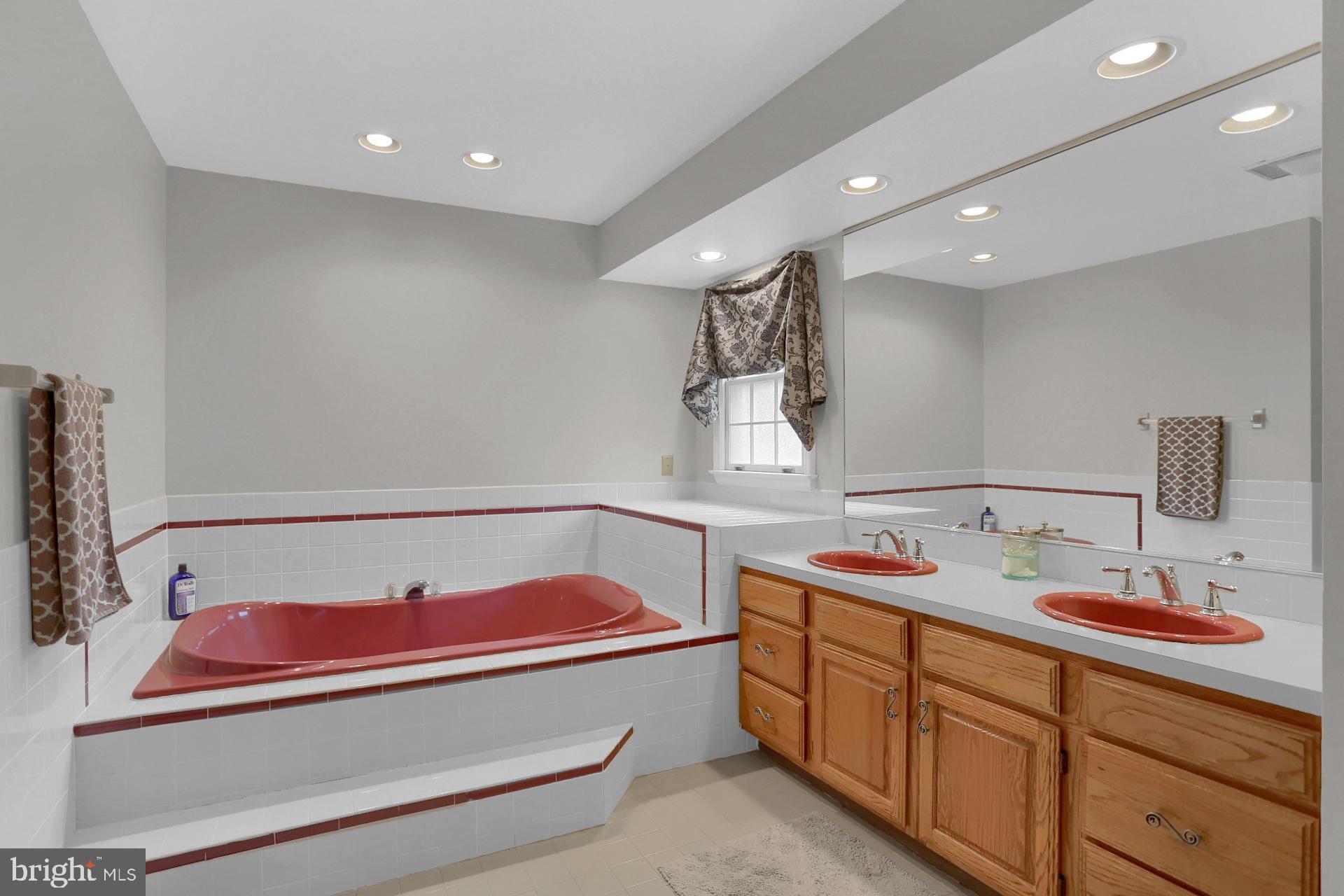 4 Pine Tree Court Reading, PA 19607 - Photo 14 of 32 Master Bath with double sinks and shower