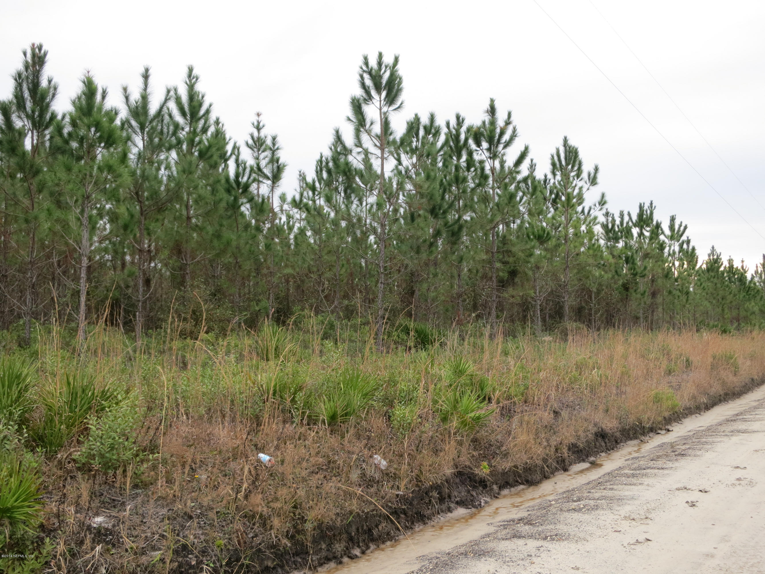 2 Bay And Goodwin Road Hilliard, FL 32046 - Photo 3 of 10 Pine on the Property