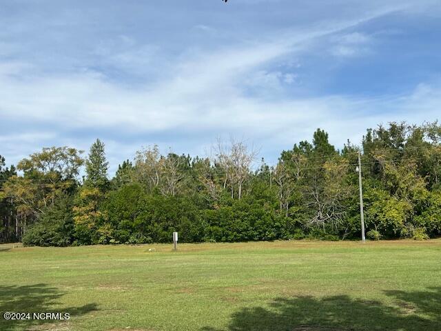 1779 Mccrimmon Road Rowland, NC 28383 - Photo 18 of 37 Extra septic/well