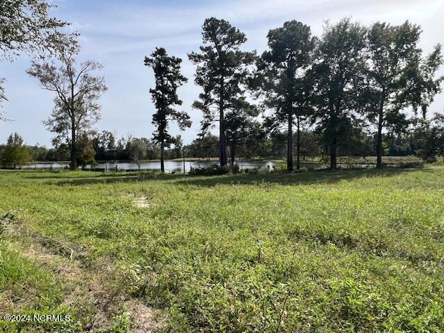 1779 Mccrimmon Road Rowland, NC 28383 - Photo 19 of 37 Pond