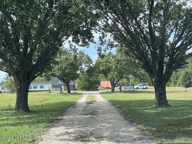 1779 Mccrimmon Road Rowland, NC 28383 - Photo 20 of 37 Driveway