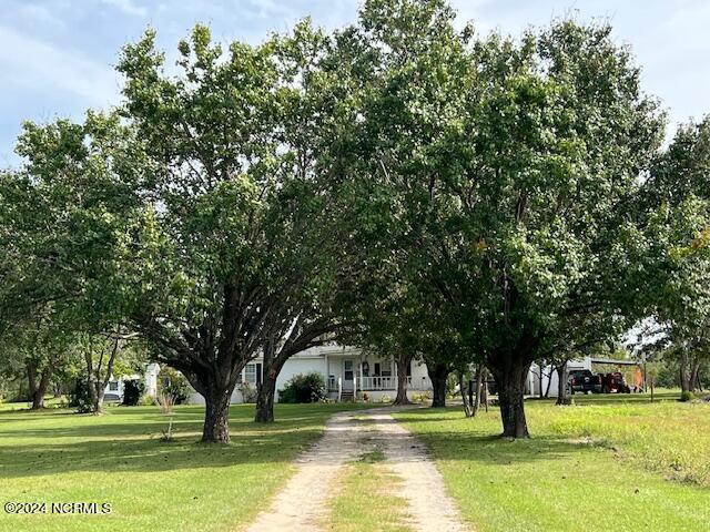 1779 Mccrimmon Road Rowland, NC 28383 - Photo 21 of 37 View from drive