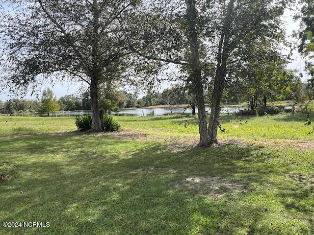 1779 Mccrimmon Road Rowland, NC 28383 - Photo 27 of 37 Pond