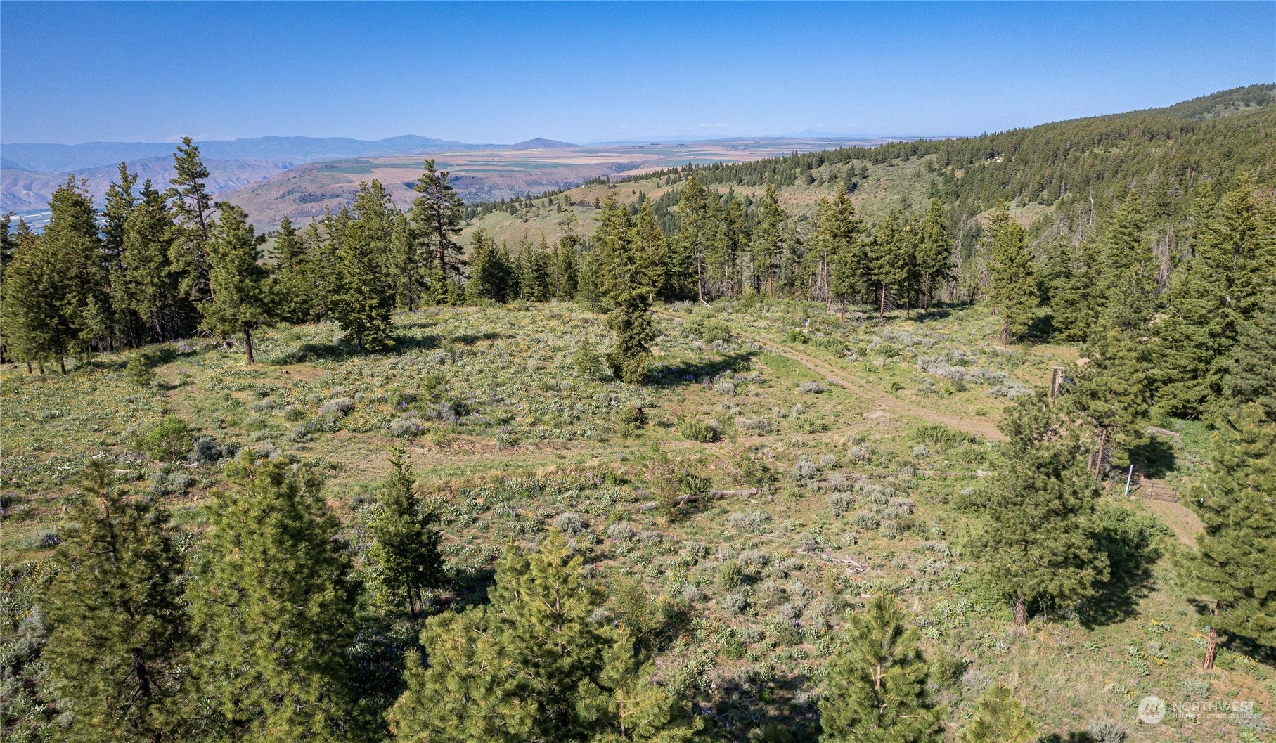 14 Melvin Road Waterville, WA 98858 - Photo 8 of 26 Gallery Image 8