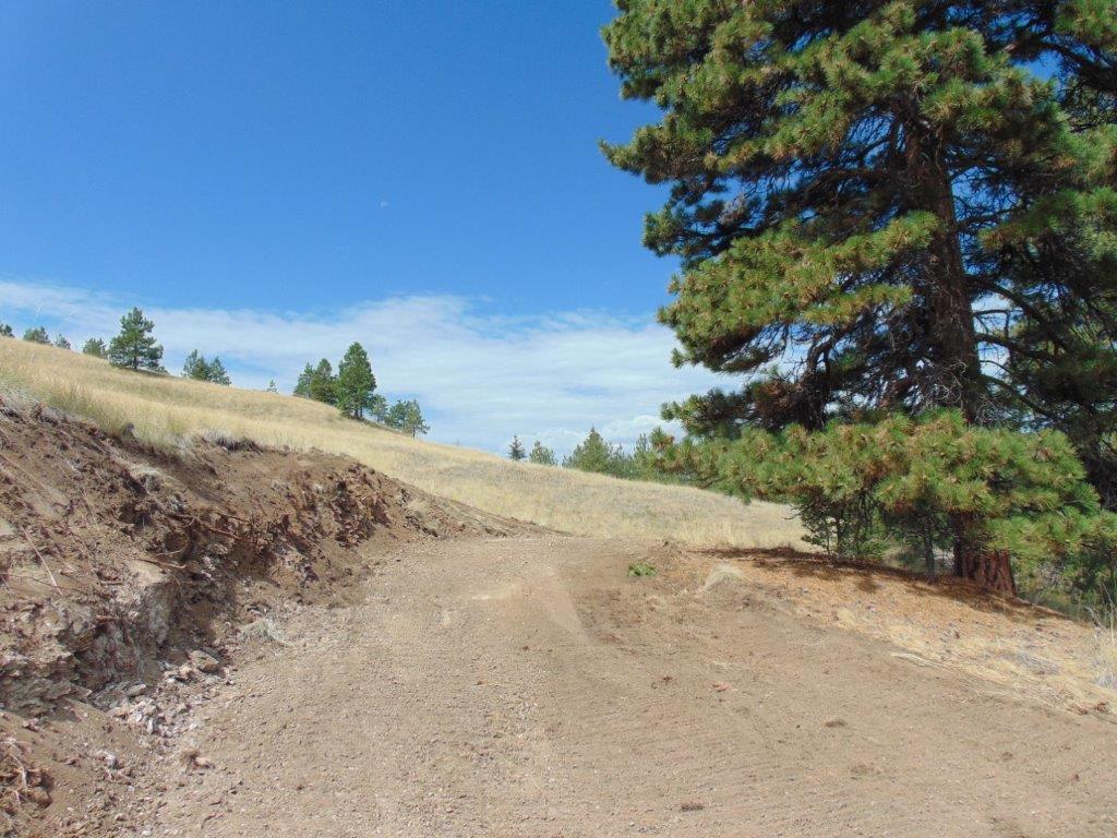 Tbd Shady Spring Lane Cascade, MT 59421 - Photo 62 of 78 Gallery Image 62