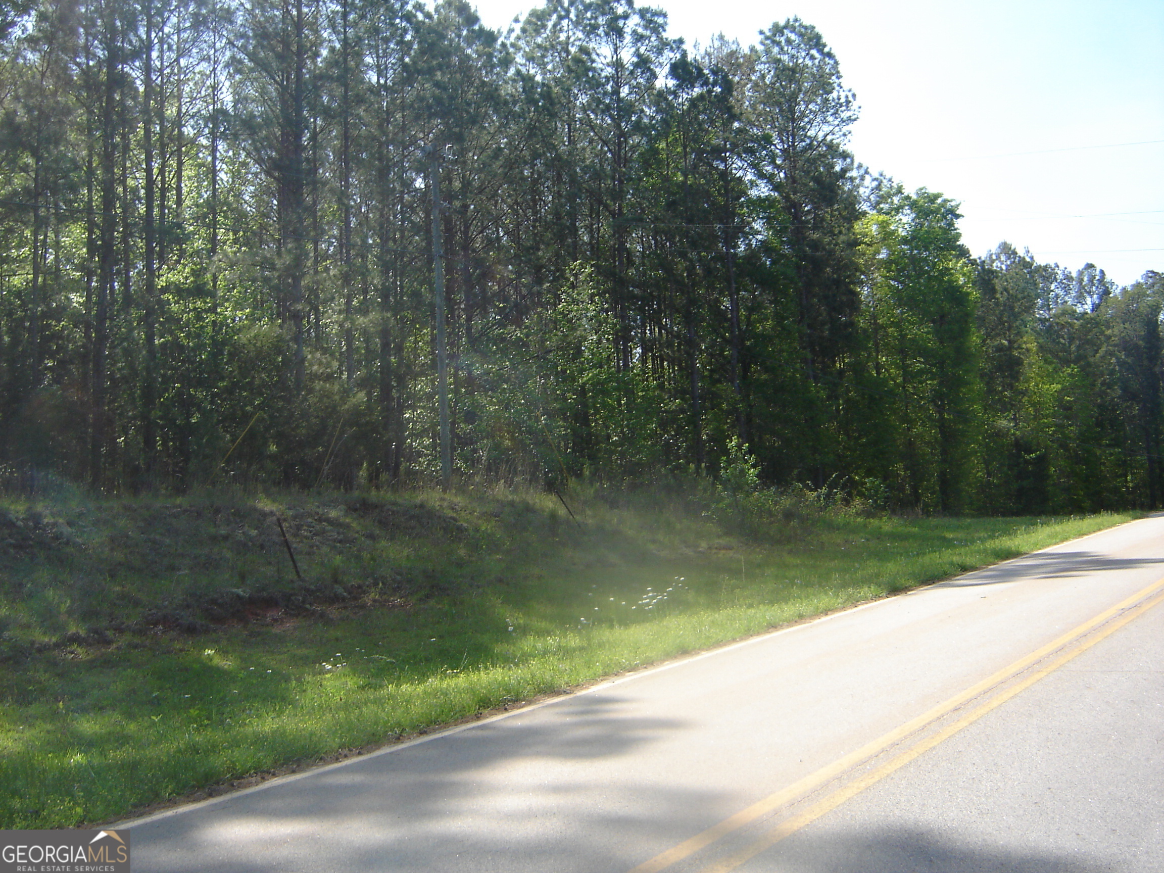 0 Liberty Hill Road LaGrange, GA 30240 - Photo 19 of 40