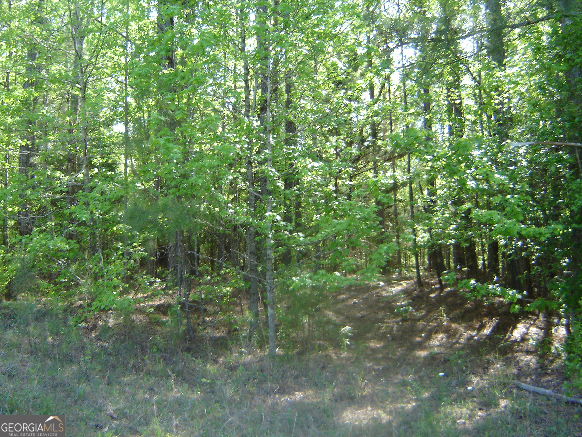 0 Liberty Hill Road LaGrange, GA 30240 - Photo 23 of 40