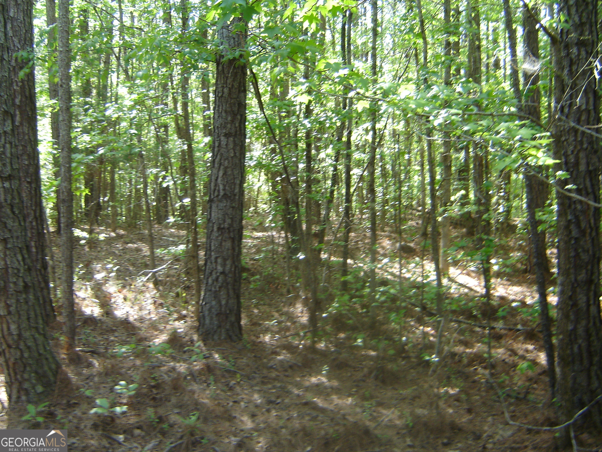 0 Liberty Hill Road LaGrange, GA 30240 - Photo 24 of 40