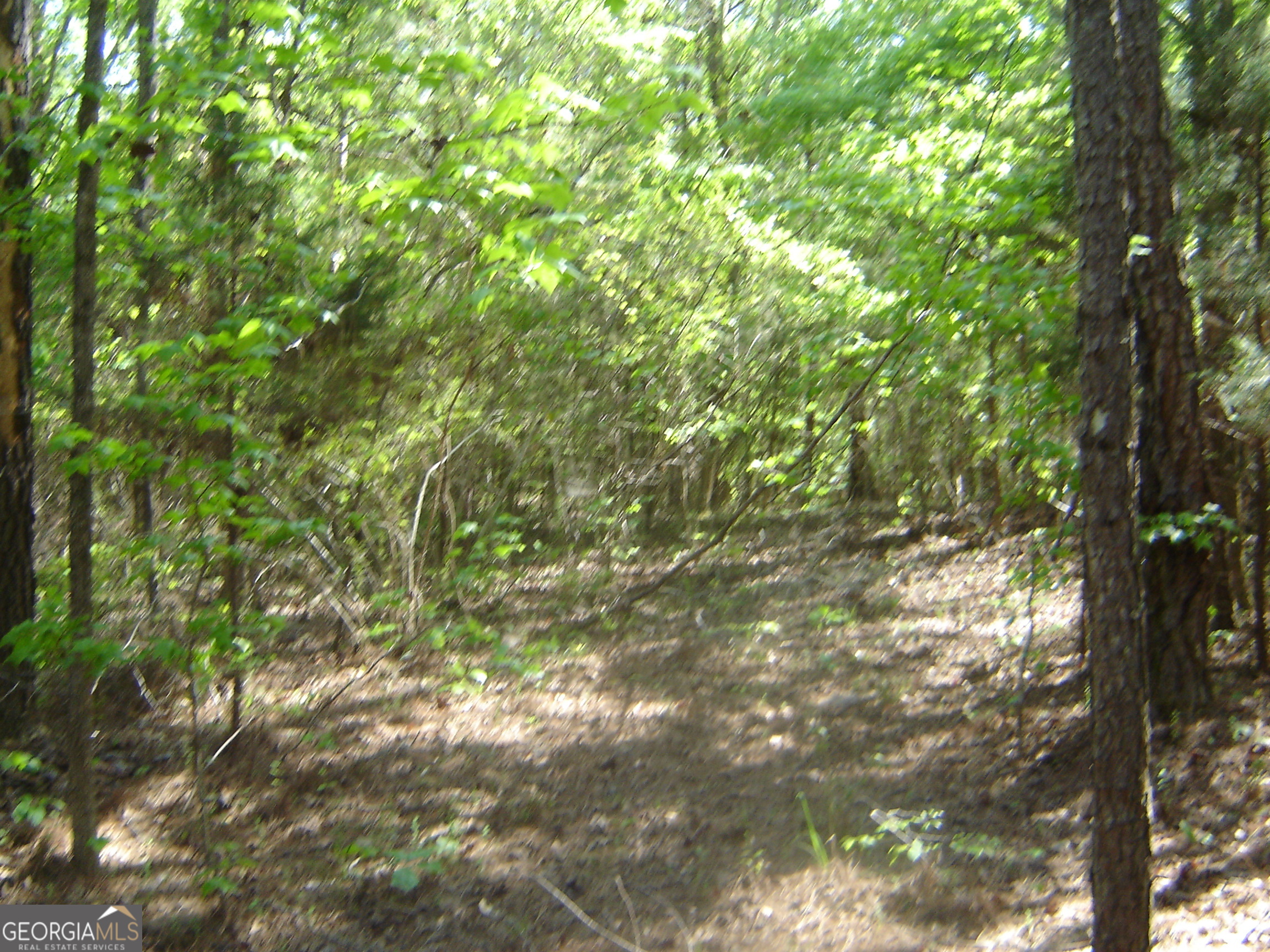 0 Liberty Hill Road LaGrange, GA 30240 - Photo 25 of 40