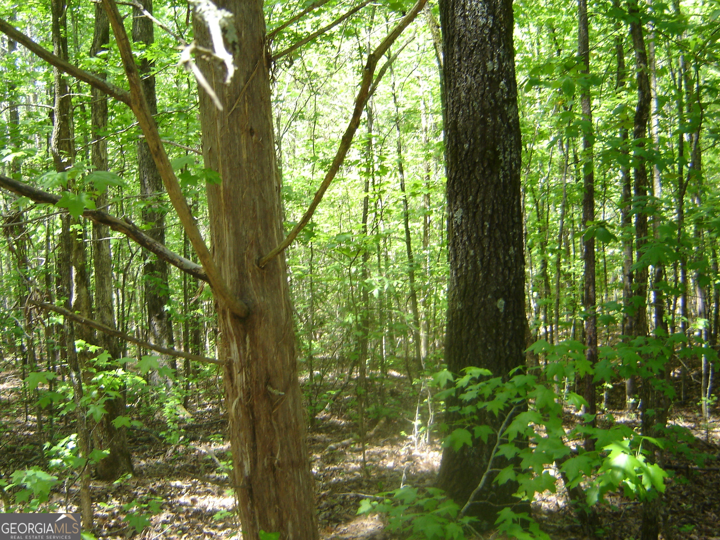 0 Liberty Hill Road LaGrange, GA 30240 - Photo 26 of 40