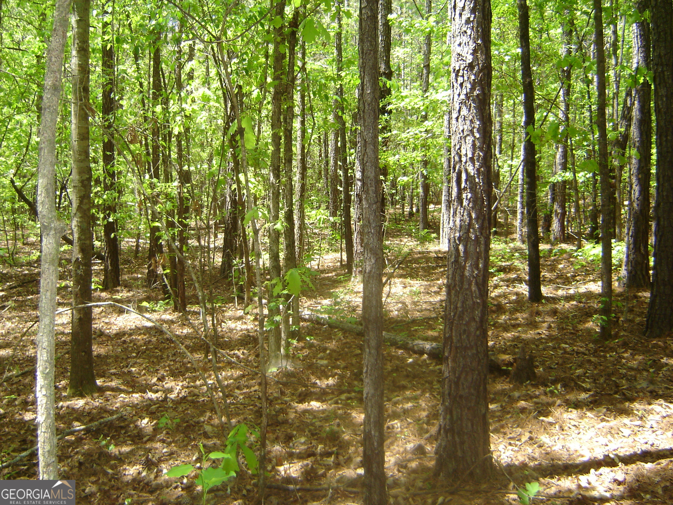 0 Liberty Hill Road LaGrange, GA 30240 - Photo 27 of 40