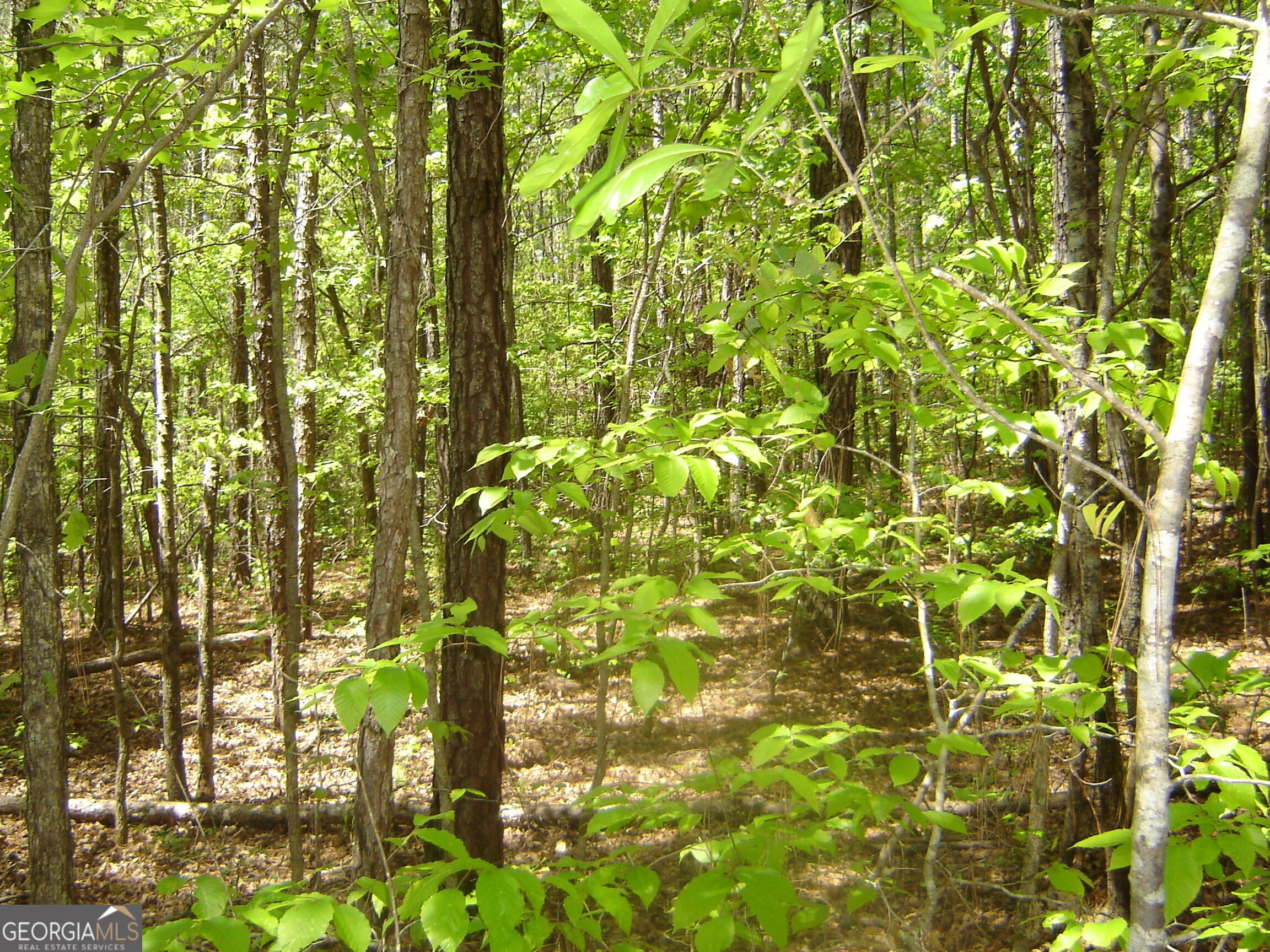 0 Liberty Hill Road LaGrange, GA 30240 - Photo 28 of 40