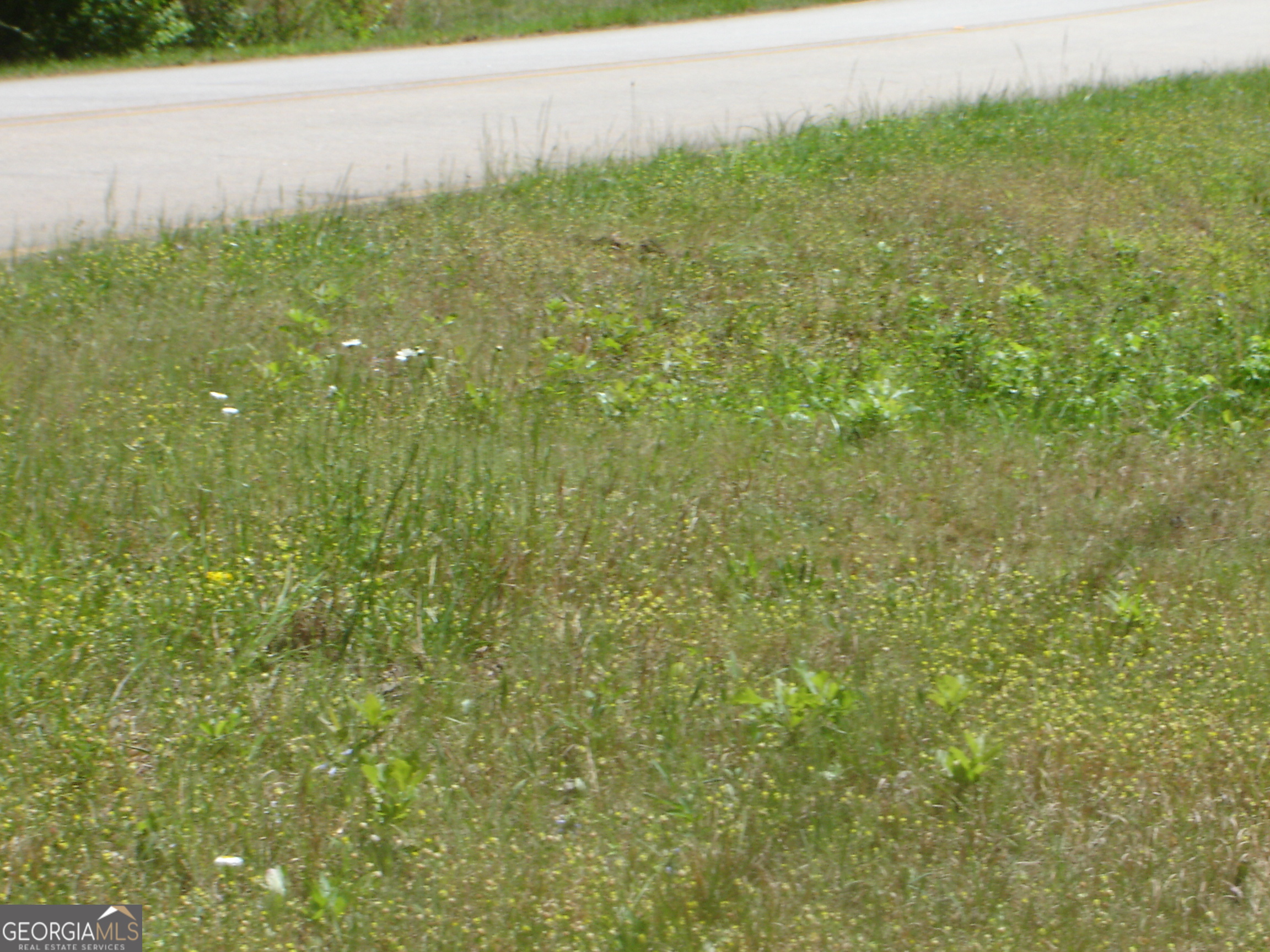 0 Liberty Hill Road LaGrange, GA 30240 - Photo 39 of 40