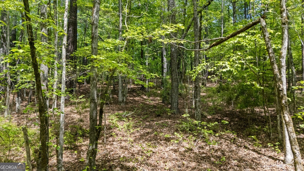 0 Liberty Hill Road LaGrange, GA 30240 - Photo 7 of 40 a view of a forest