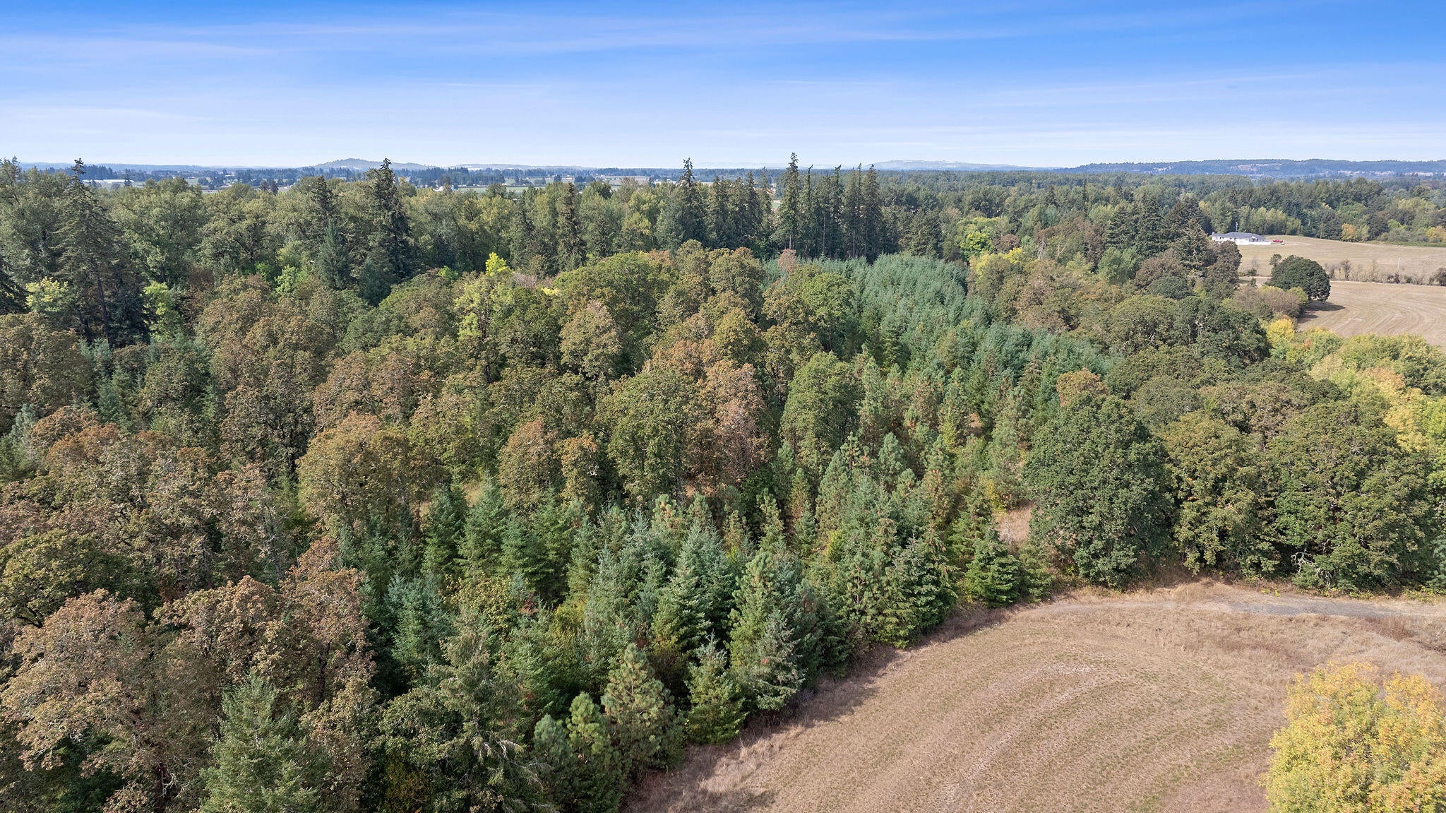 Tbd Brewster Road Lebanon, OR 97355 - Photo 15 of 19 DJI_20240922143646_0055_D