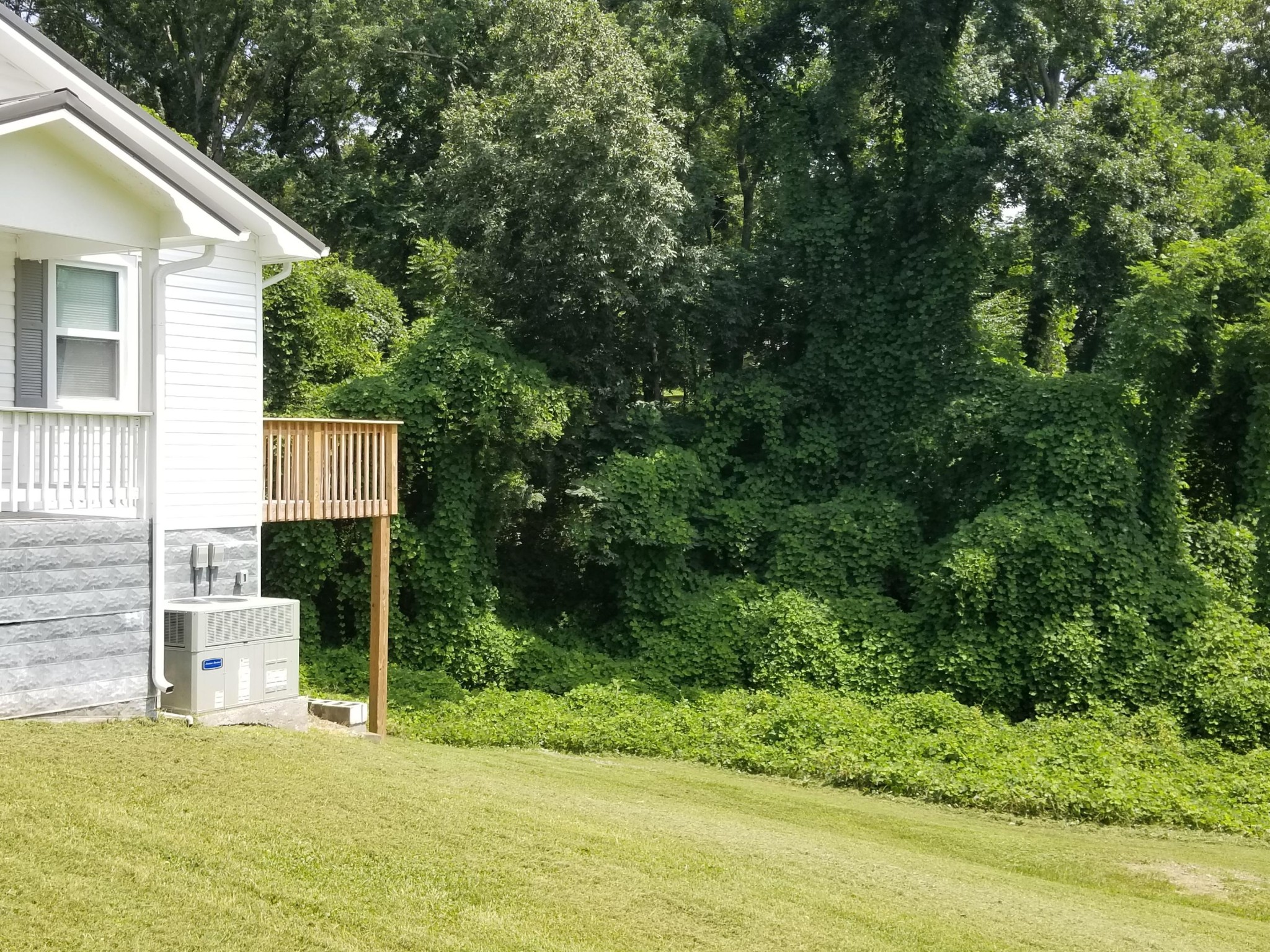 104106 Hunter Circle Oak Ridge, TN 37830 - Photo 10 of 15 a view of a house with backyard and garden