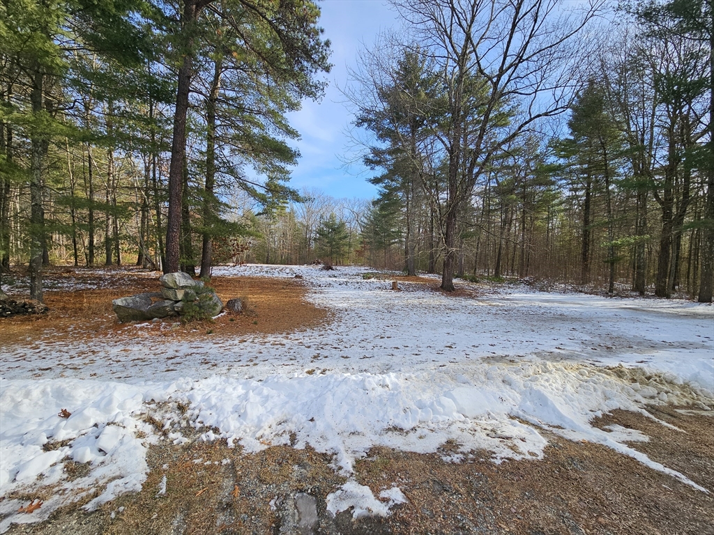 127 Summer Street Thorndike, MA 01079 - Photo 26 of 27 a view of dirt yard with a large tree