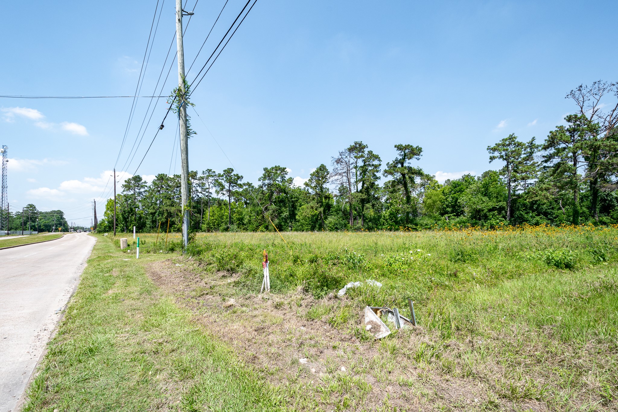 14815 Old Humble Road Houston, TX 77396 - Photo 6 of 11 a view of a yard with plants