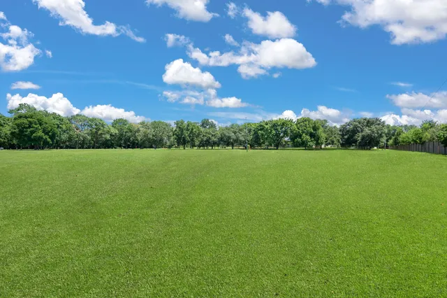 a view of a green field