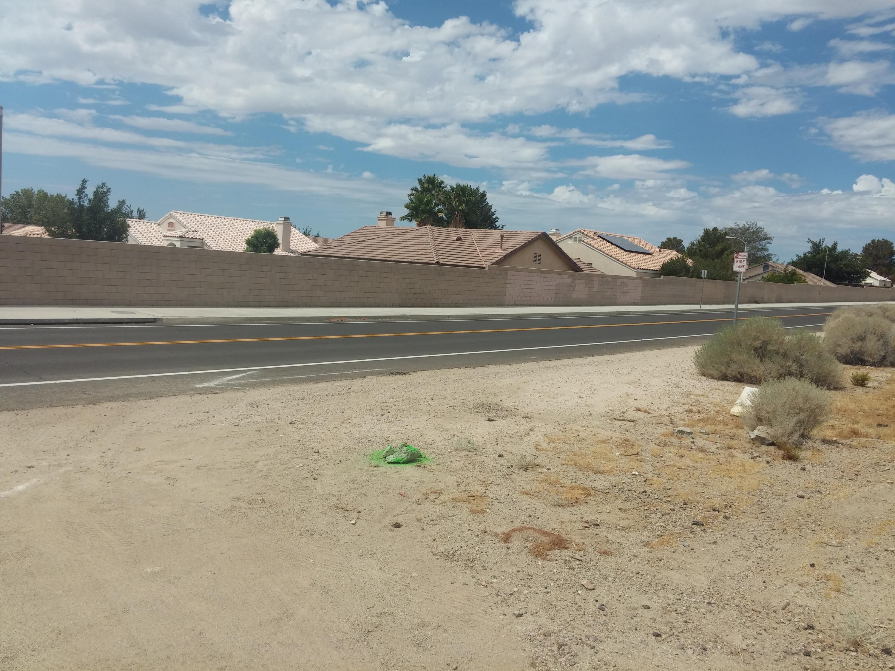3089 Truman Road Rosamond, CA 93560 - Photo 2 of 24 truman1