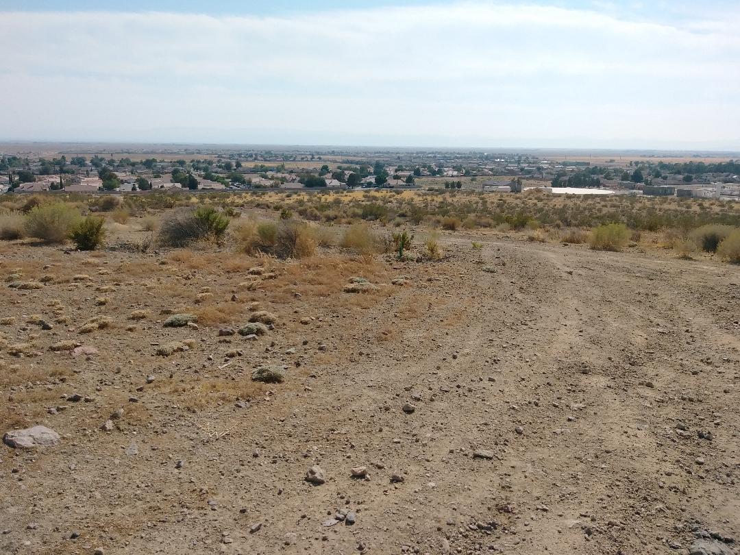 3089 Truman Road Rosamond, CA 93560 - Photo 11 of 24 truman rd 14