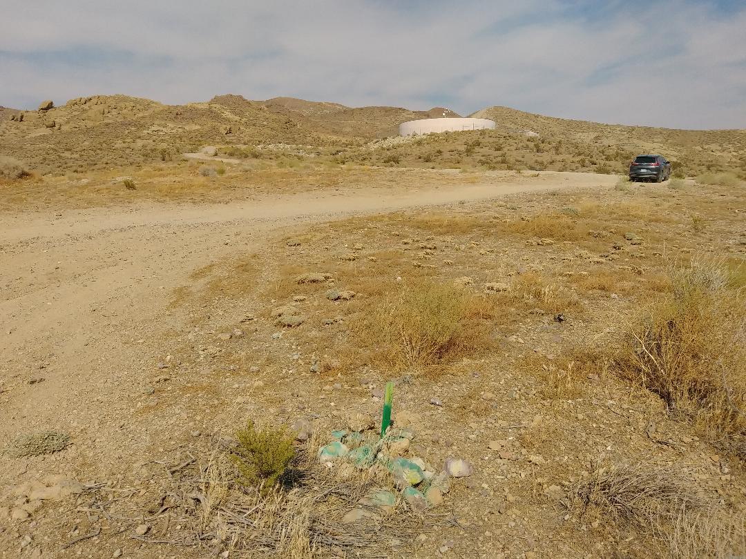 3089 Truman Road Rosamond, CA 93560 - Photo 12 of 24 truman rd 15 CORNER IDENTIFIED