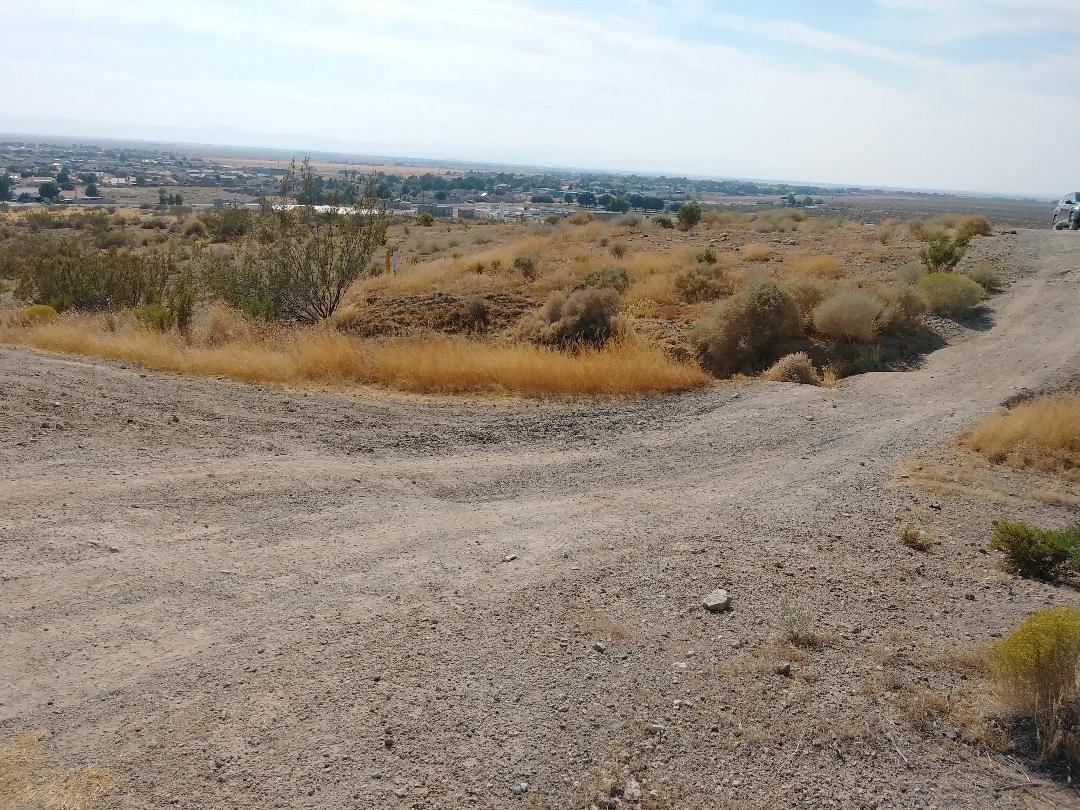 3089 Truman Road Rosamond, CA 93560 - Photo 14 of 24 truman rd 17