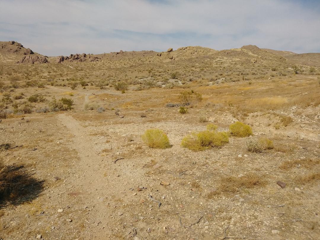 3089 Truman Road Rosamond, CA 93560 - Photo 21 of 24 truman rd 5