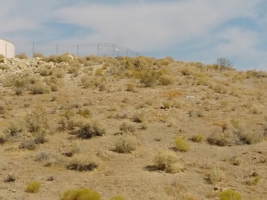 3089 Truman Road Rosamond, CA 93560 - Photo 23 of 24 truman rd 7