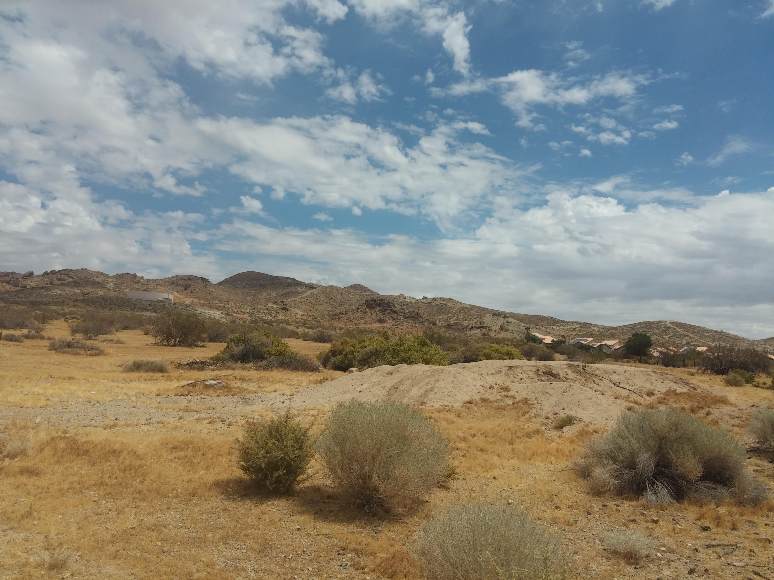 3089 Truman Road Rosamond, CA 93560 - Photo 4 of 24 truman2