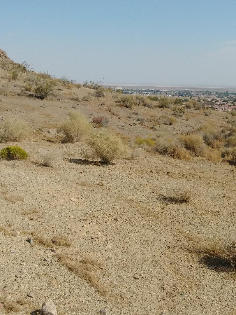 3089 Truman Road Rosamond, CA 93560 - Photo 5 of 24 truman rd 9