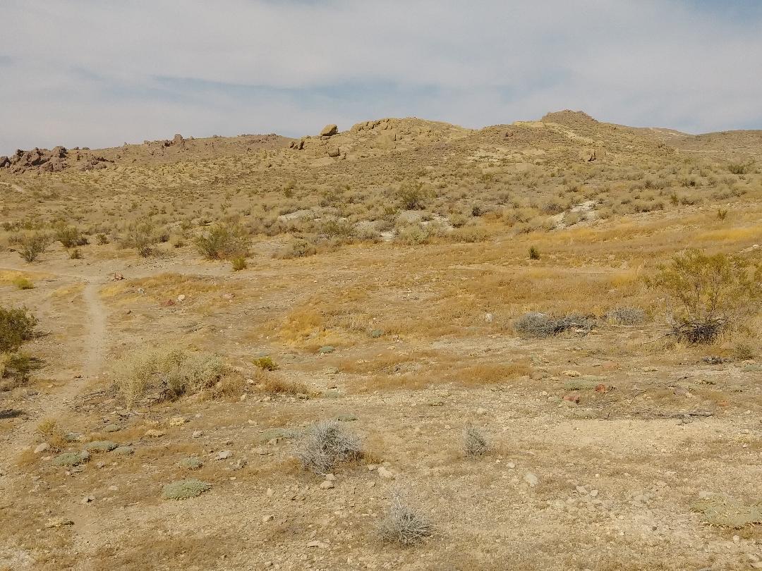 3089 Truman Road Rosamond, CA 93560 - Photo 8 of 24 truman rd 12