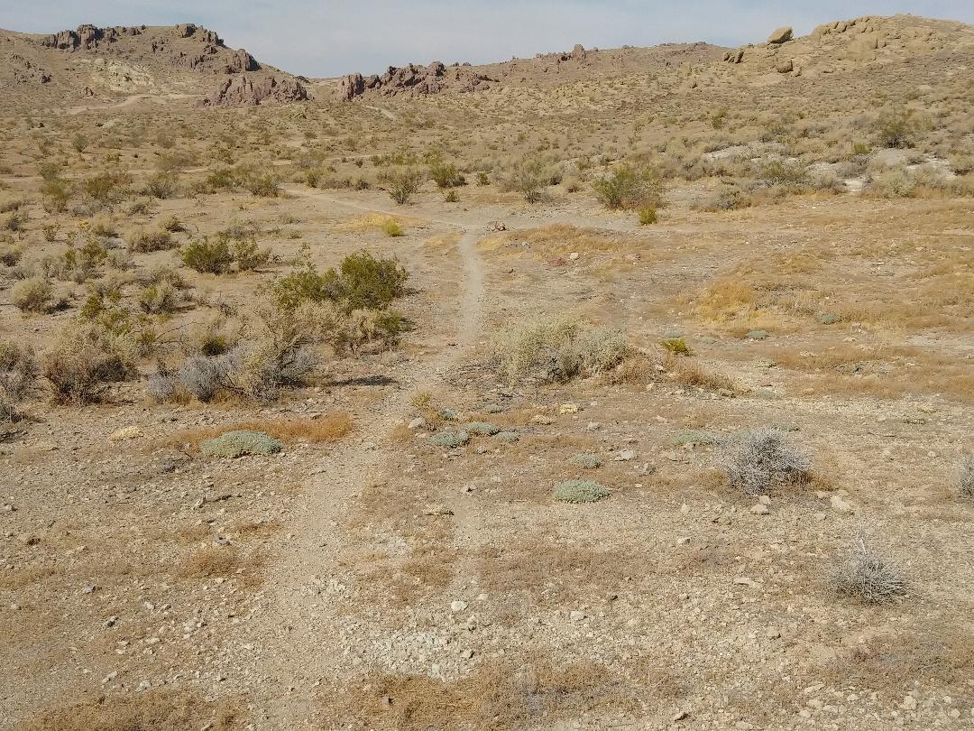 3089 Truman Road Rosamond, CA 93560 - Photo 9 of 24 truman rd 13