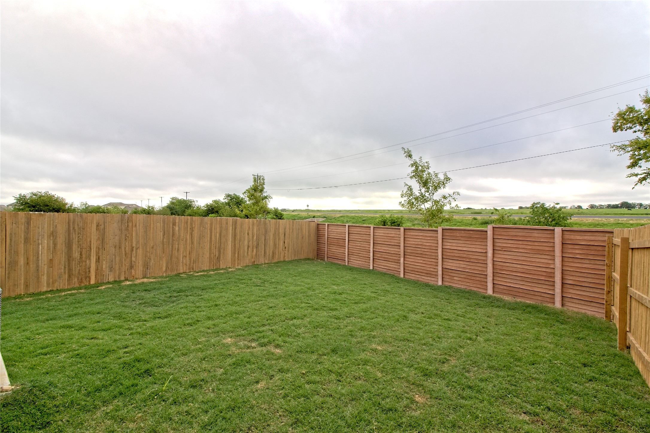 555 White Steppe Way Georgetown, TX 78626 - Photo 28 of 40 View of fenced backyard