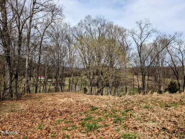 $40,000 | 741 Hedge Drive, Kingsport, TN 37660