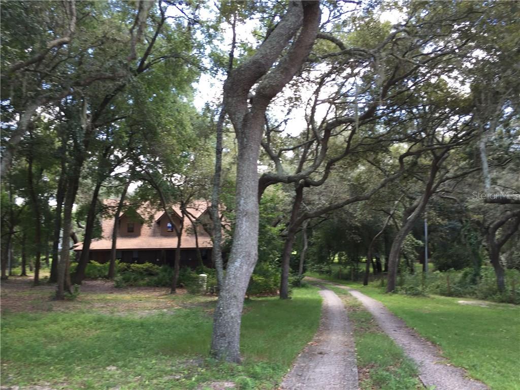 17641 Seidner Road Winter Garden, FL 34787 - Photo 1 of 1 Gallery Image 1