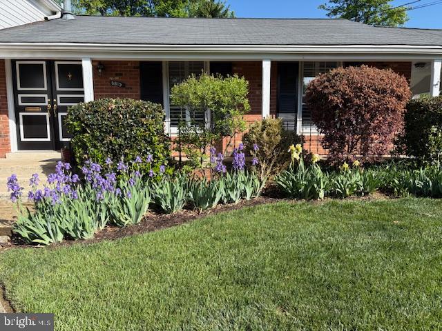 8815 Postoak Road Potomac, MD 20854 - Photo 37 of 45 Irises in Bloom