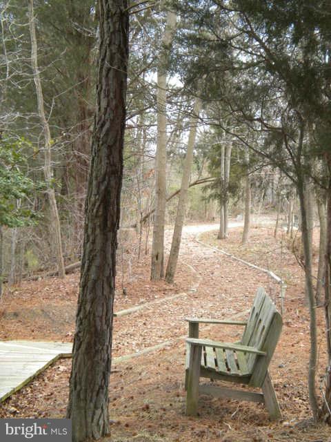 14284 Foxhall Road Dowell, MD 20629 - Photo 13 of 23