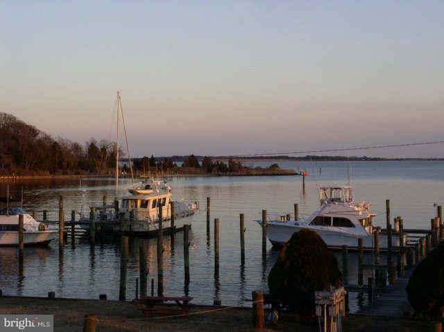 14284 Foxhall Road Dowell, MD 20629 - Photo 20 of 23 a view of a lake from a balcony