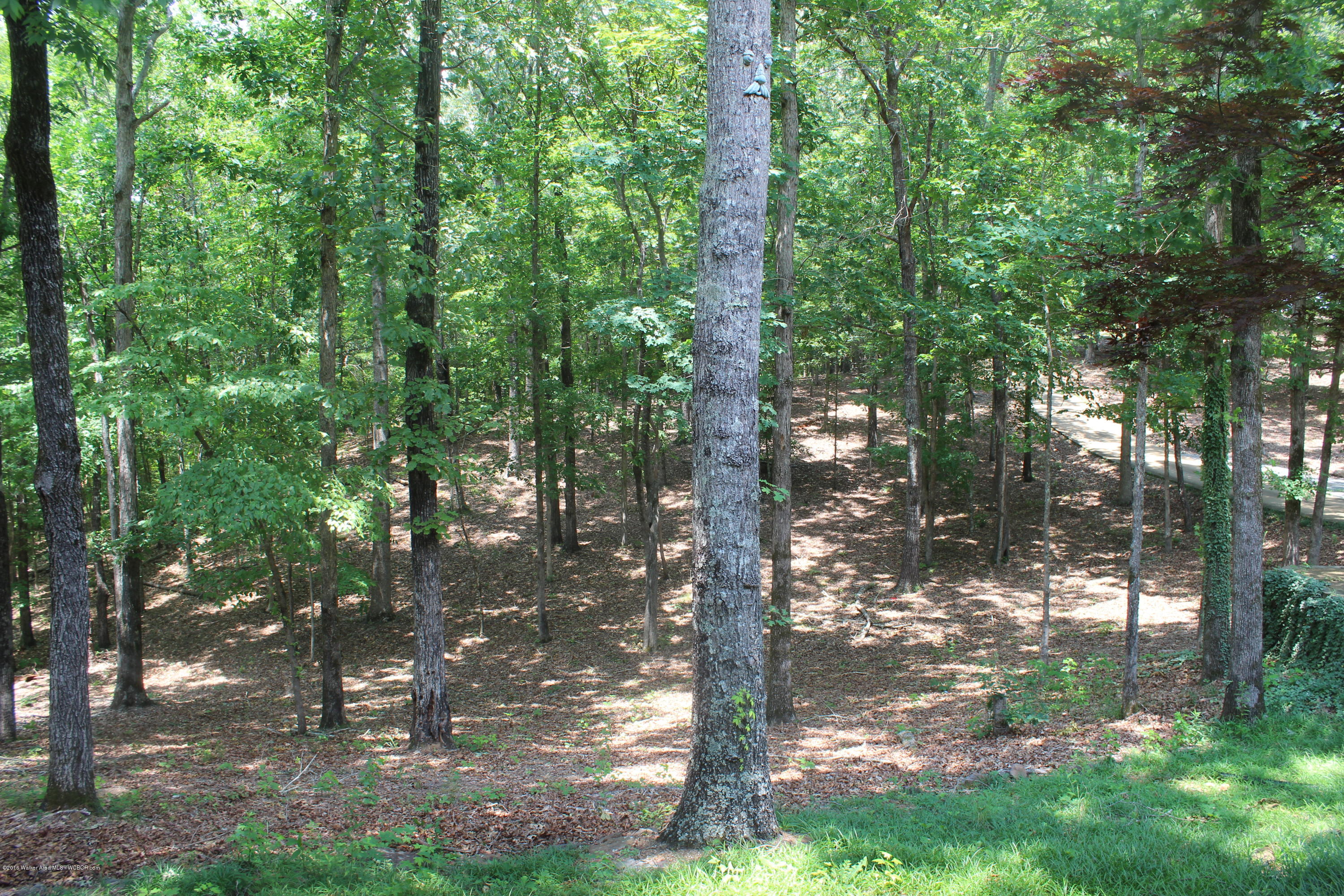 950 Foothill Road Winfield, AL 35594 - Photo 5 of 38 Gallery Image 5