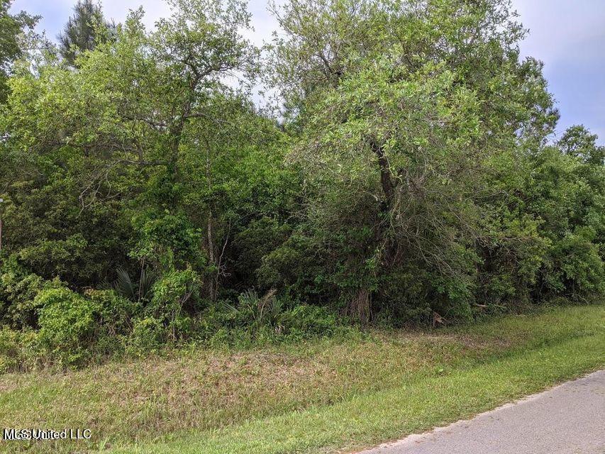 0 Chapman & Garden Road Bay St. Louis, MS 39520 - Photo 2 of 2 Chapman 1