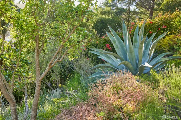 $25,000 | 169 Amber Drive, San Francisco, CA 94131