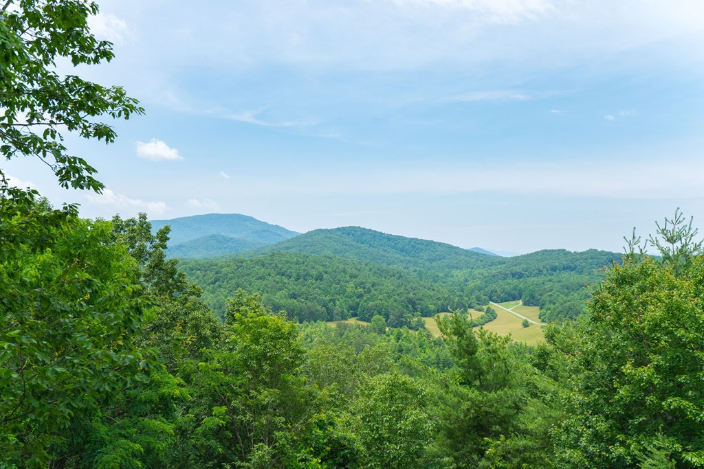 346 Vw Rdg Trail Murphy, NC 28906 - Photo 43 of 52