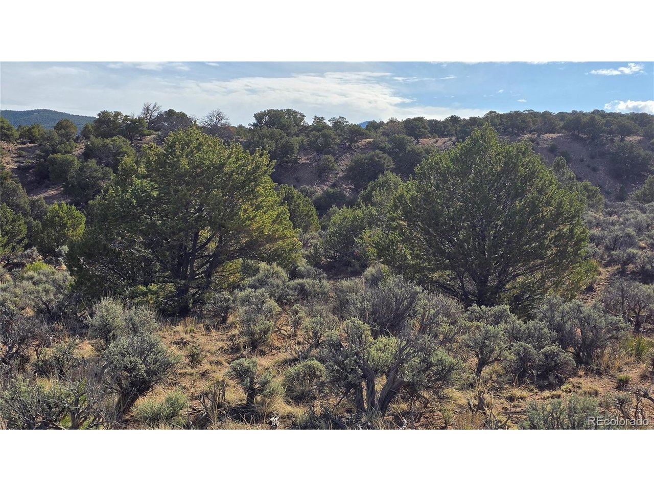 7340 Sweany Road Fort Garland, CO 81133 - Photo 8 of 31