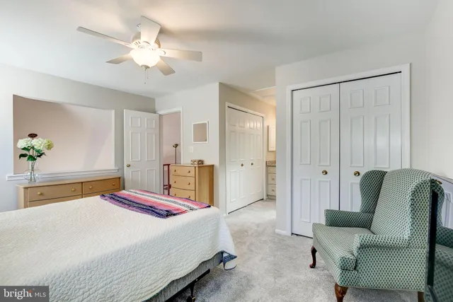 a bedroom with a bed couch and a window