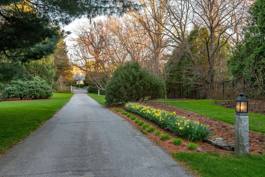 106 Fernwood Road Brookline, MA 02467 - Photo 38 of 39 Gallery Image 38