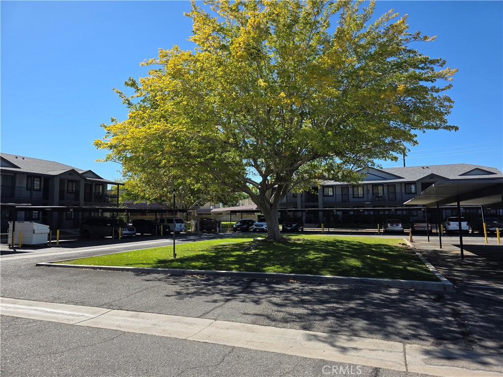 44036 25th Street West, Unit C8 Lancaster, CA 93536 - Photo 20 of 25 a view of a park with large trees and playing ground