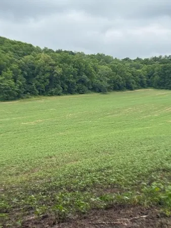 $224,000 | Tbd Back Valley Road, Pepin, WI 54759