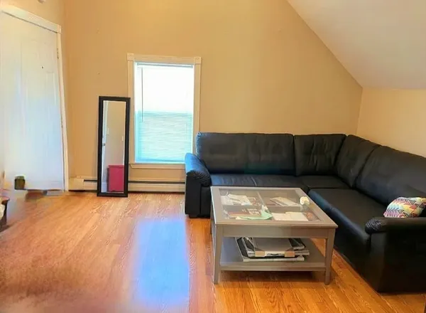 a living room with a couch and a potted plant